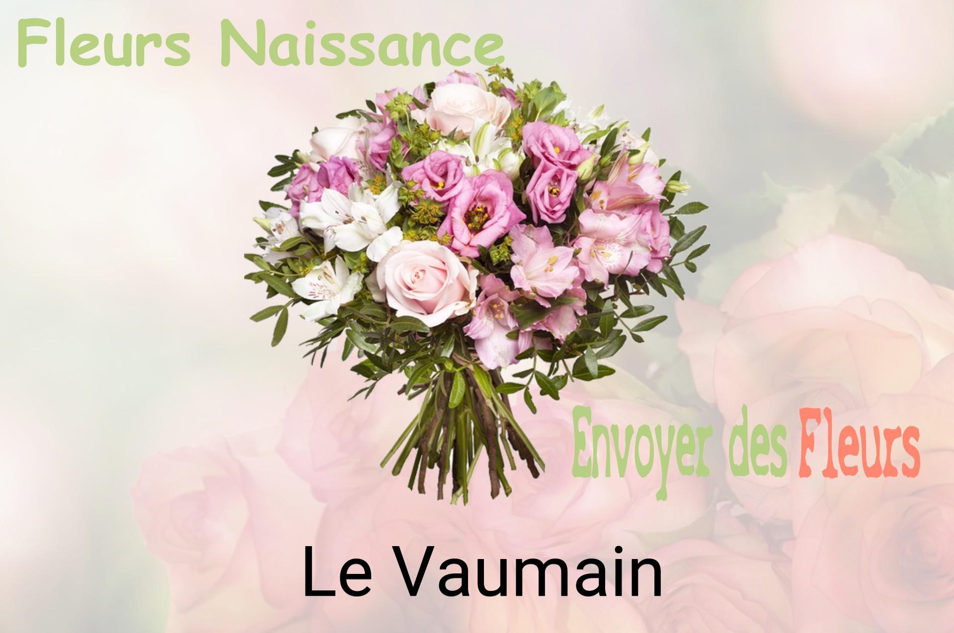 Bouquet de fleurs de naissance livré à Le Vaumain